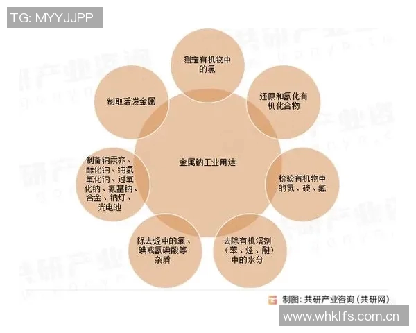 转会市场价格泡沫的形成机制与未来发展趋势分析